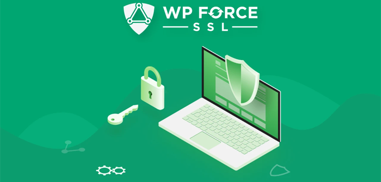 WP Force SSL Pro 5.33 (Activated)