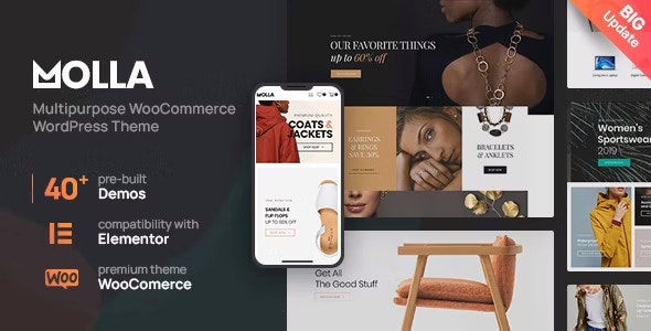 Molla (v1.5.9) Multi-Purpose WooCommerce Theme (Activated)