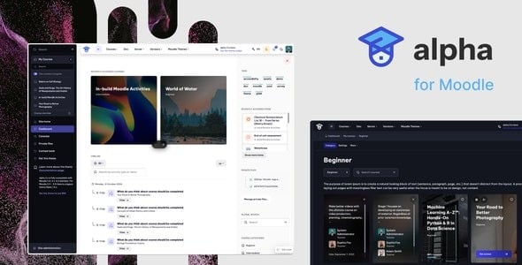 Alpha | 适用于 Moodle 的响应式高级主题 2.5.13