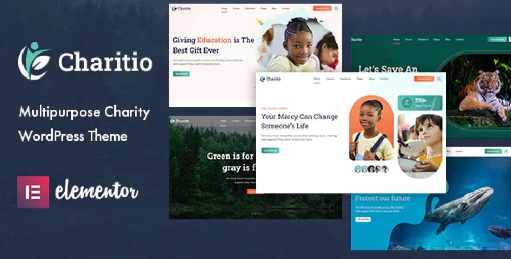 Charitio v1.0.6 多用途慈善 WordPress 主题