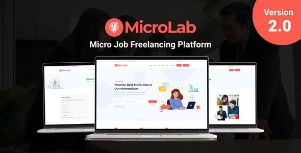 MicroLab v3.0 Micro Job Freelancing Platform [Activated]