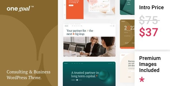 One Goal v1.1 Business Consulting