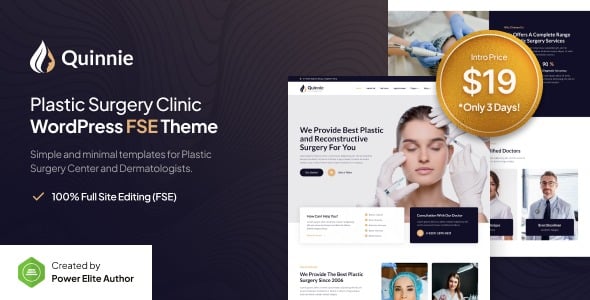 Quinnie v1.0.0 整形外科诊所 WordPress 主题