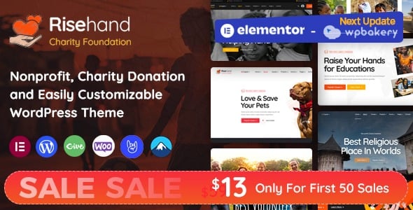 RiseHand (v1.2.7) Charity & Donation WordPress Theme