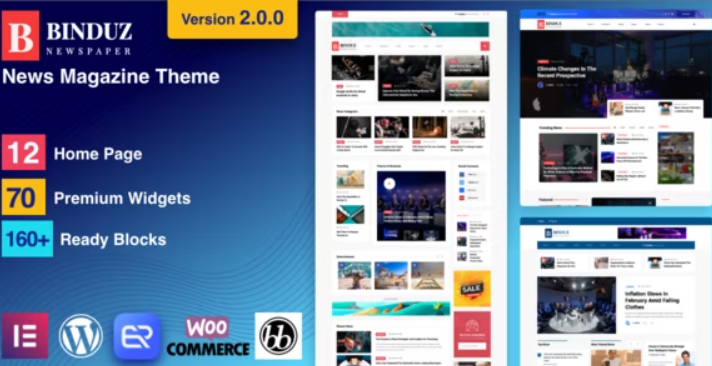 Binduz v2.7.0 WordPress News Magazine Theme