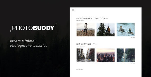PhotoBuddy v1.1 Photography WordPress Theme