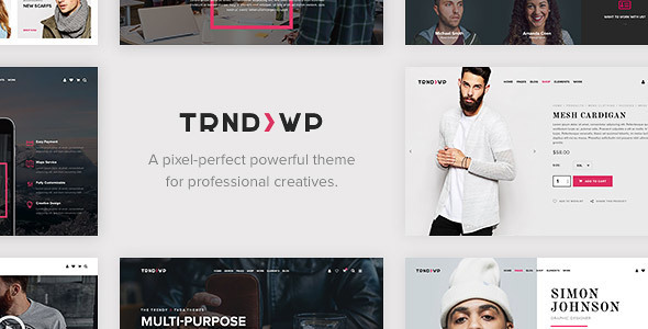 Trendy v1.3 Creative Multi-Purpose WordPress Theme