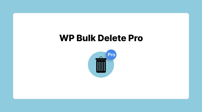 WP Bulk Delete Pro v1.3.4 [Activated]